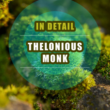 Thelonious Monk - In Detail