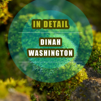 Dinah Washington - In Detail