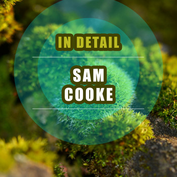 Sam Cooke - In Detail