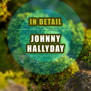 Johnny Hallyday - In Detail