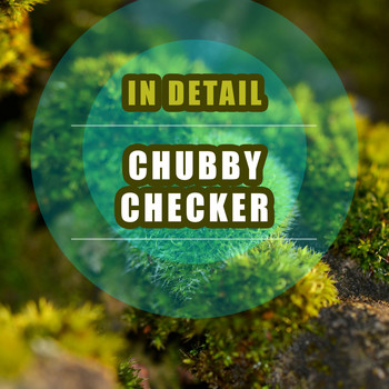 Chubby Checker - In Detail