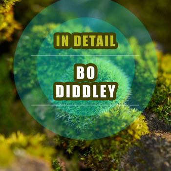 Bo Diddley - In Detail
