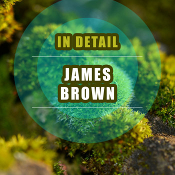 James Brown - In Detail