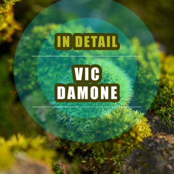 Vic Damone - In Detail