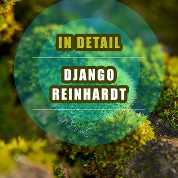 Django Reinhardt - In Detail