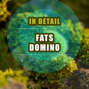 Fats Domino - In Detail