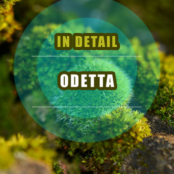 Odetta - In Detail