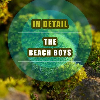 The Beach Boys - In Detail