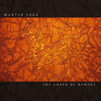 Martin Page - The Amber of Memory