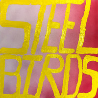 Slow Pulp - Steel Birds