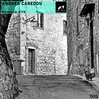 Andrea Careddu - Rember 973
