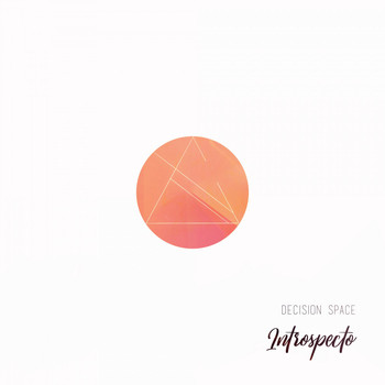 Decision space - Introspecto