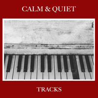 Gentle Piano Music, Piano Masters, Classic Piano - #20 Calm & Quiet Tracks