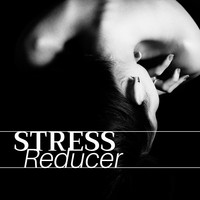 Yoga Guru - Stress Reducer - 40 Ways to Fend Off Stress, Anger and Tension