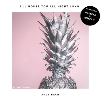 Andy Bach - I'll House You All Night Long