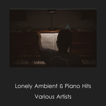 Various Artists - Lonely Ambient & Piano Hits