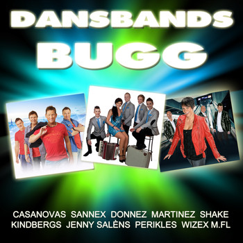 Various Artists - Dansband bugg