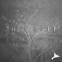 Flight Paths - The Secret