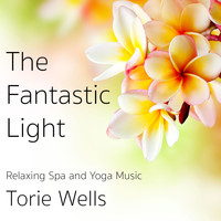 Torie Wells - The Fantastic Light