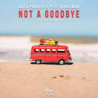 Alex Parker & Pete Kingsman - Not a Goodbye (Voost Remix)