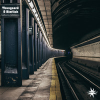 Thusgaard & Bierlich - Subway Mansion