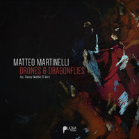 Matteo Martinelli - Drones & Dragonflies