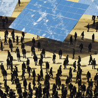 Zimmer, Panama - Wildflowers