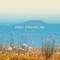 Healing Meditation Zone, Relax Meditation Sleep, Namaste Yoga - #19 Mind Enhancing Sounds for Yoga and Meditation