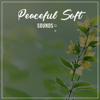 Meditation Awareness, Deep Sleep Meditation, Kundalini: Yoga, Meditation, Relaxation - #16 Peaceful Soft Sounds for Meditation