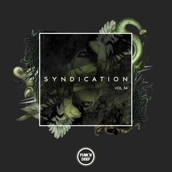 Various Artists - Syndication, Vol. 34