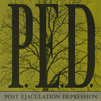P.E.D. - Post Ejaculation Depression (Explicit)