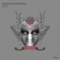 Christian Hornbostel - Essay