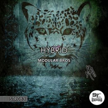 Modular Bros - HYBRID