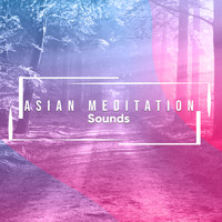 Dormir Profundamente, Mantra para Dormir, Musica para Meditar - 15 Sonidos de Meditación Asiática para Calmar la Mente