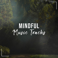 Meditation Awareness, Deep Sleep Meditation, Kundalini: Yoga, Meditation, Relaxation - #14 Mindful Music Tracks for Meditation