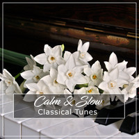 Gentle Piano Music, Piano Masters, Classic Piano - #5 Calm & Slow Classical Tunes