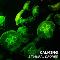 Binaural Reality, Binaural Beats Study Music, Binaural Recorders - #20 Calming Binaural Drones