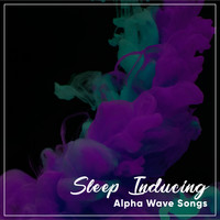 Binaural Reality, Binaural Beats Study Music, Binaural Recorders - #8 Sleep Inducing Alpha Wave Songs