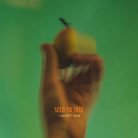Seed to Tree - I Wouldn't Mind