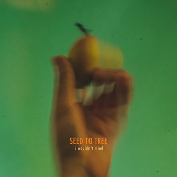 Seed to Tree - I Wouldn't Mind