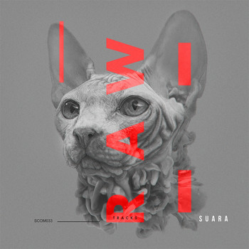 Various Artists - Raw Tracks
