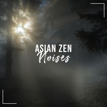 Entspannungsmusik, Schlaflieder Fee, Entspannungsmusik & Wellness - 11 Asian Zen Noises für den Schlaf