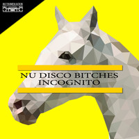 Nu Disco Bitches - Incognito