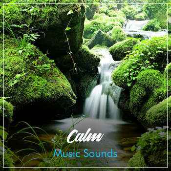 Relaxing Sleep Music, Music for Absolute Sleep, Relaxation Music Guru - #20 Calm Music Sounds for Soothing Meditation