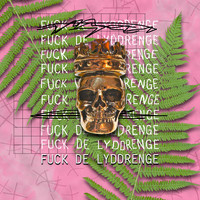 Mess - Fuck De Lyddrenge (Explicit)