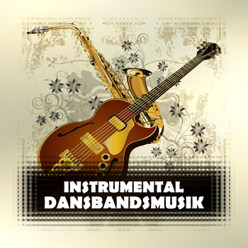 Various Artists - Instrumental dansbandsmusik