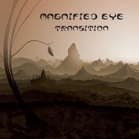 Magnified Eye - Transition