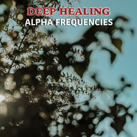 Binaural Reality, Binaural Beats Study Music, Binaural Recorders - #15 Deep Healing Alpha Frequencies
