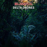 Binaural Beats Experience, Binaural Beat Therapy, Binaural Beats Meditation - #14 Blissful Delta Drones