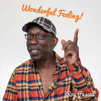 Roy Pascal - Wonderful Feeling